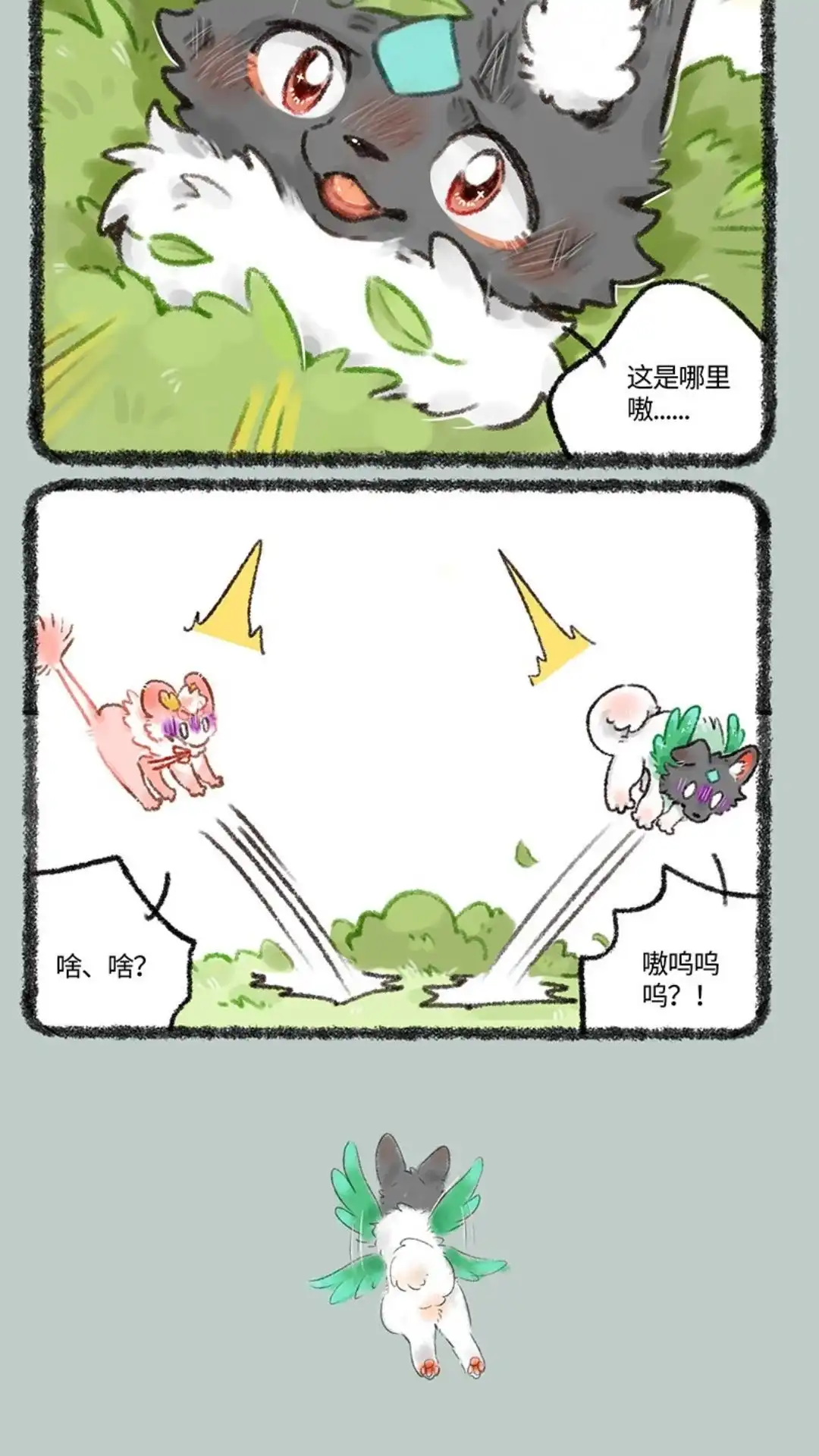 第3页