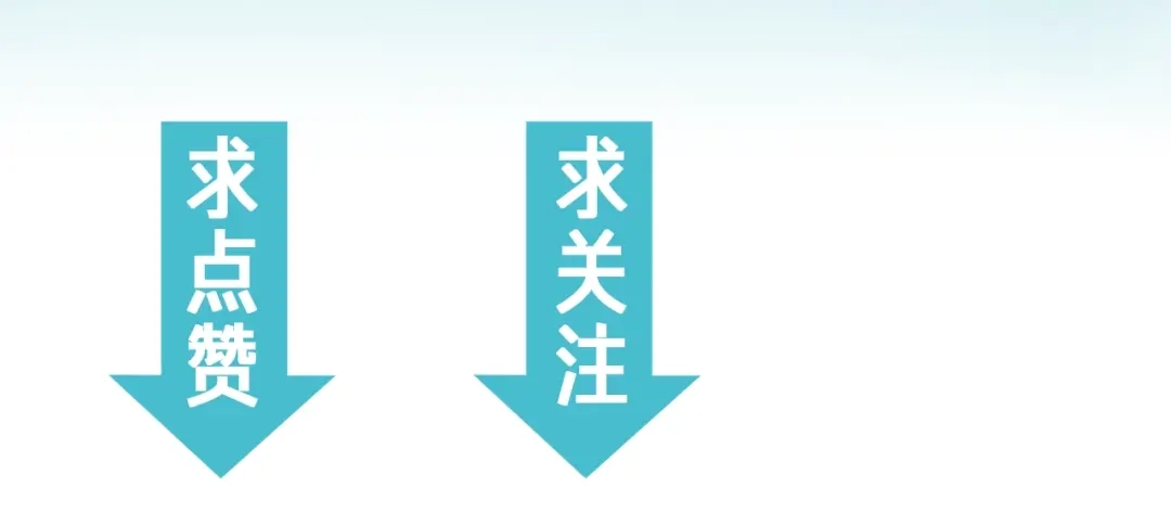 第223页