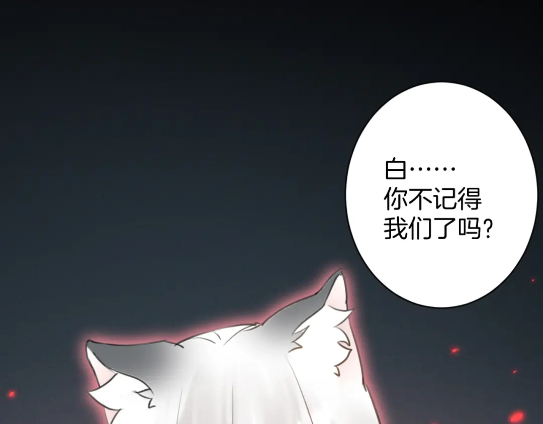 第239页