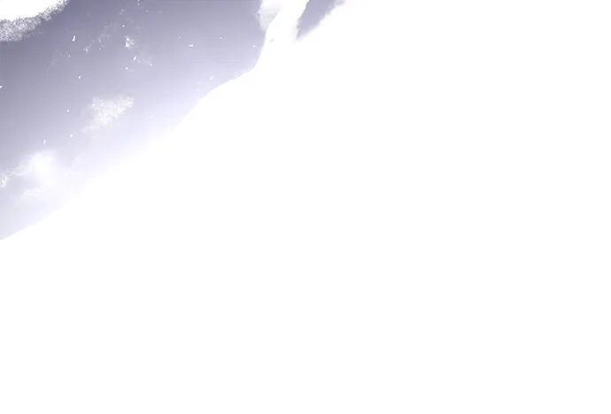 第267页