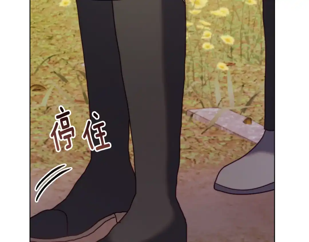 第221页