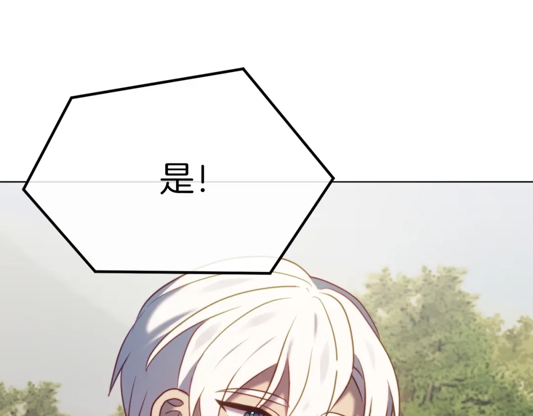 第239页