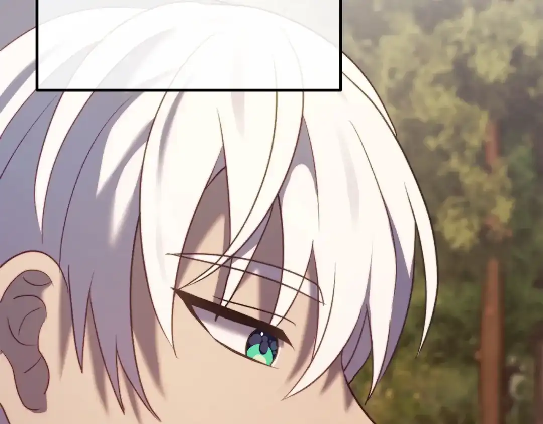 第248页