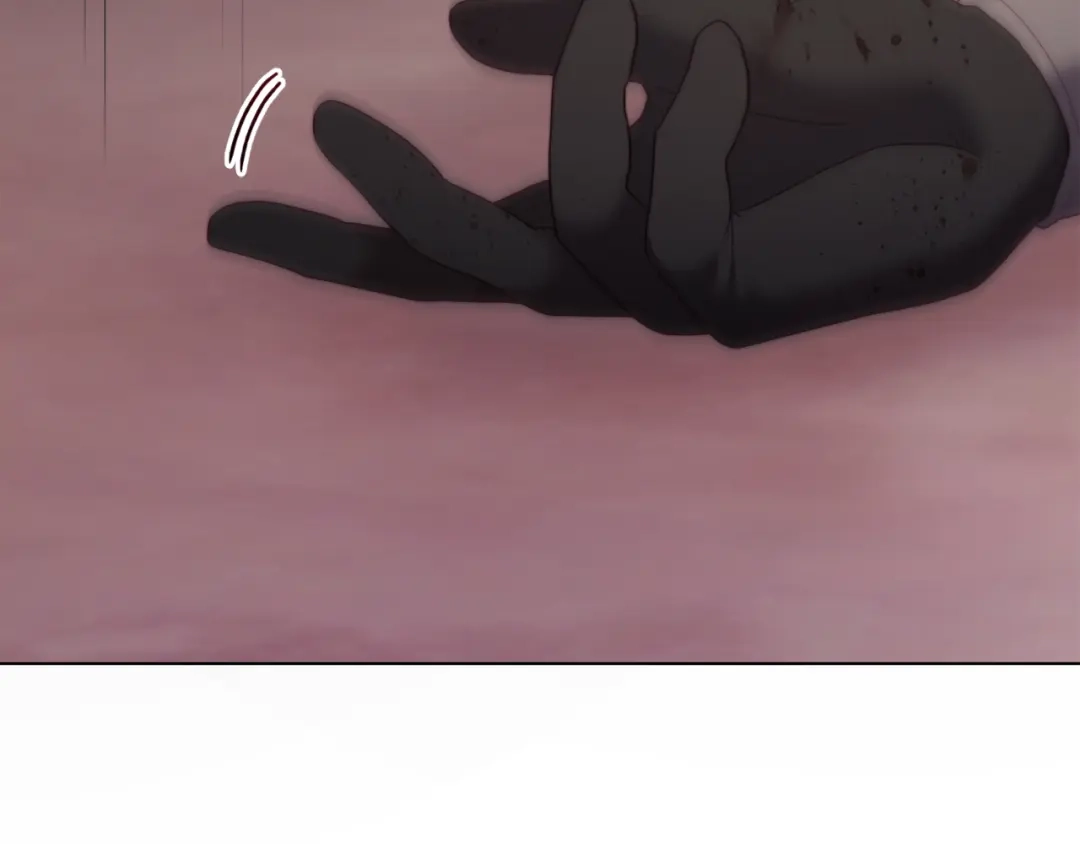 第240页