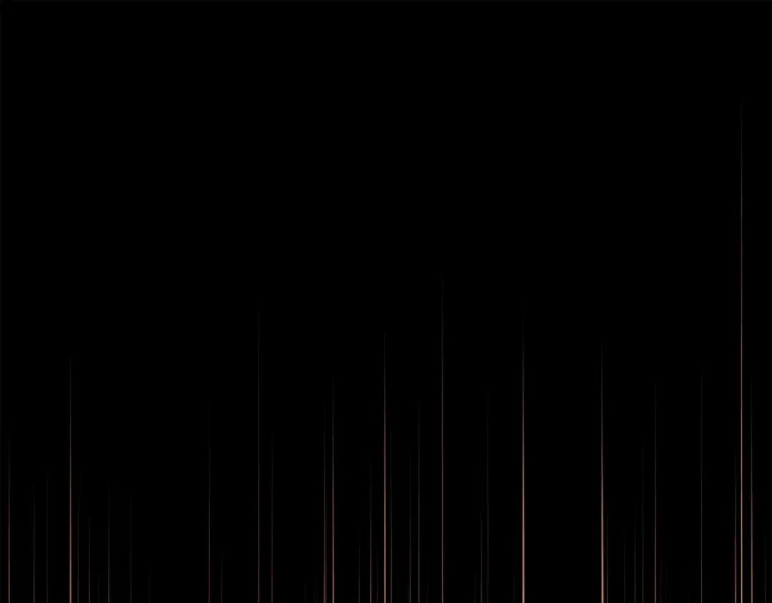 第262页