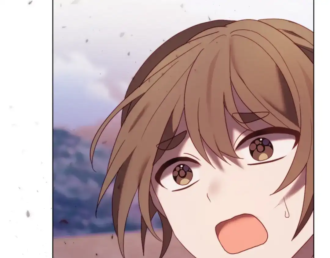 第230页