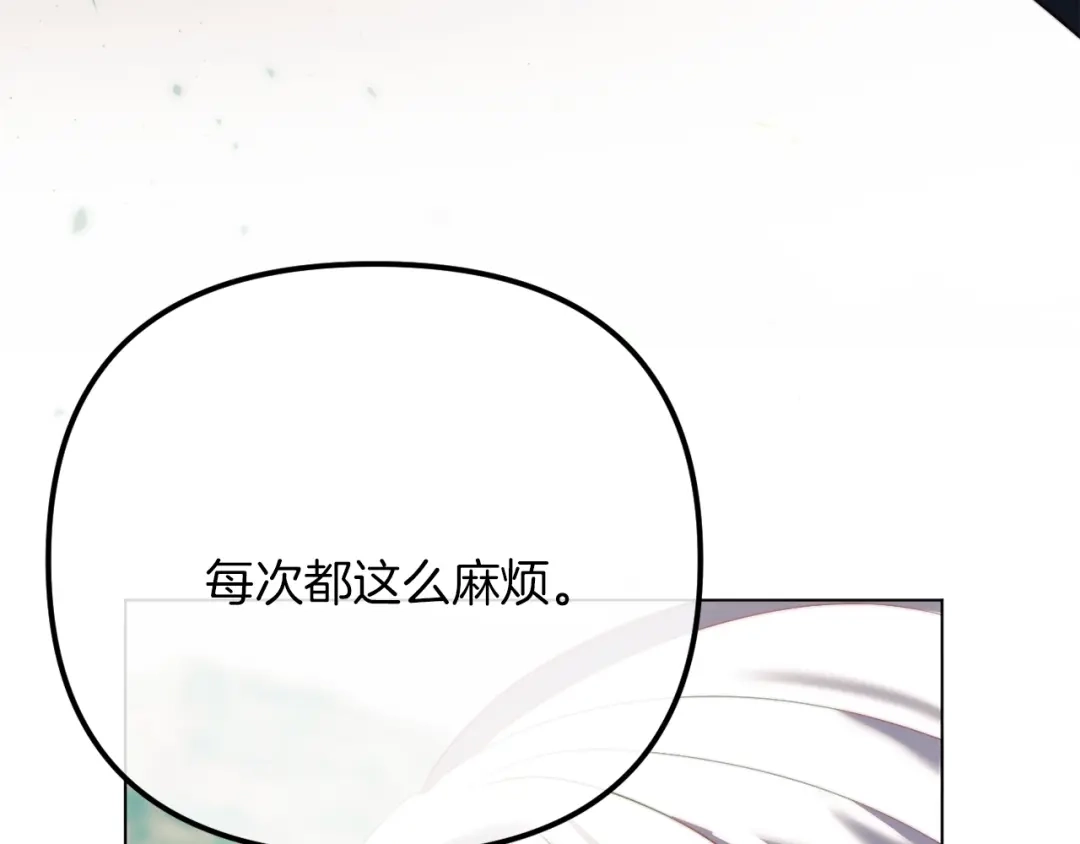 第242页