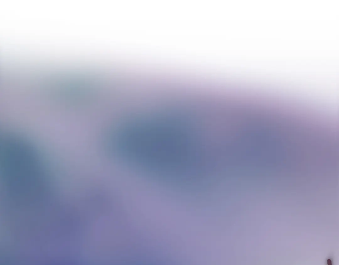 第245页