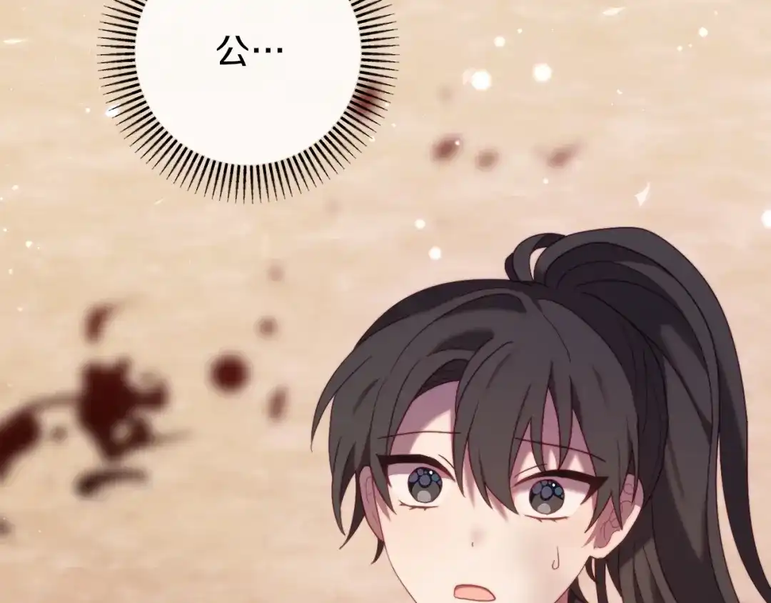 第255页