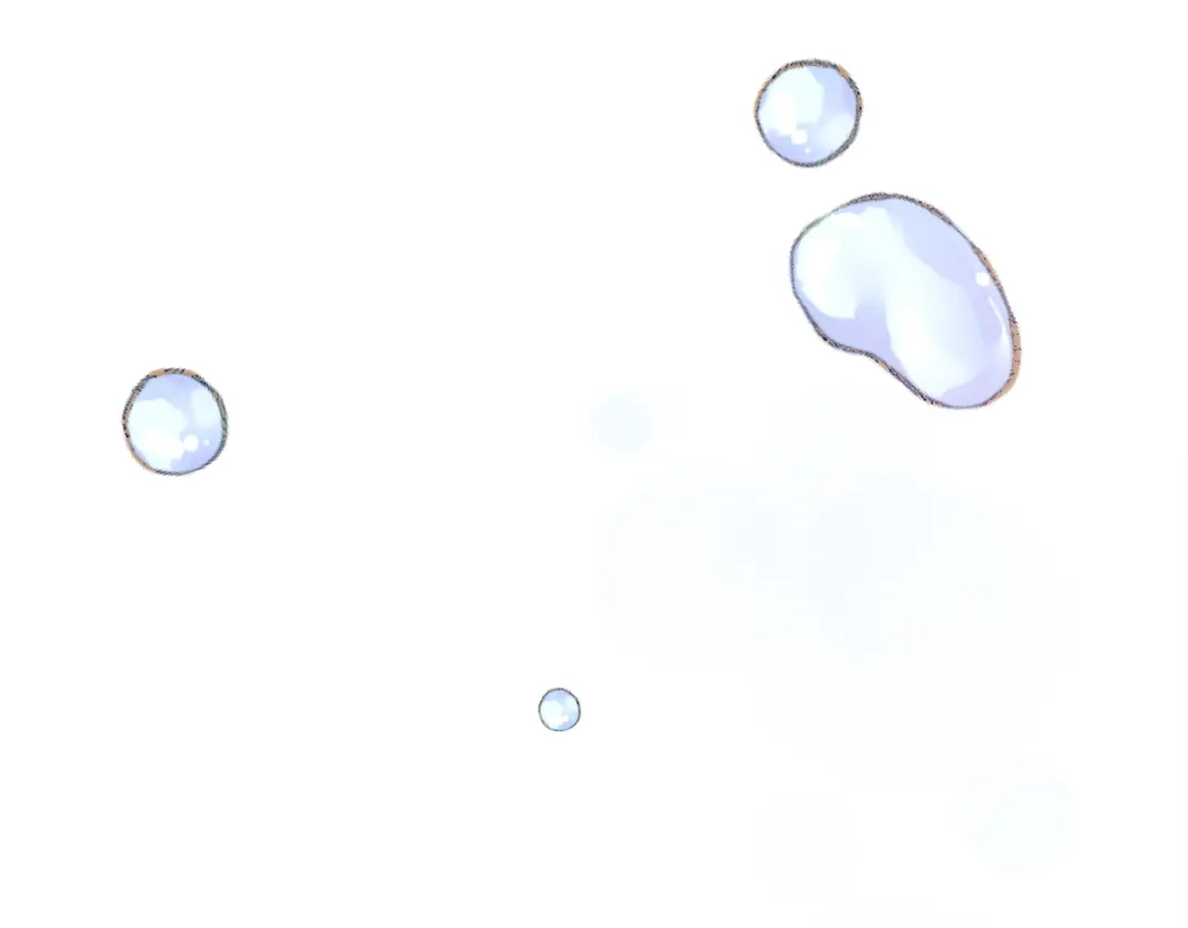 第215页
