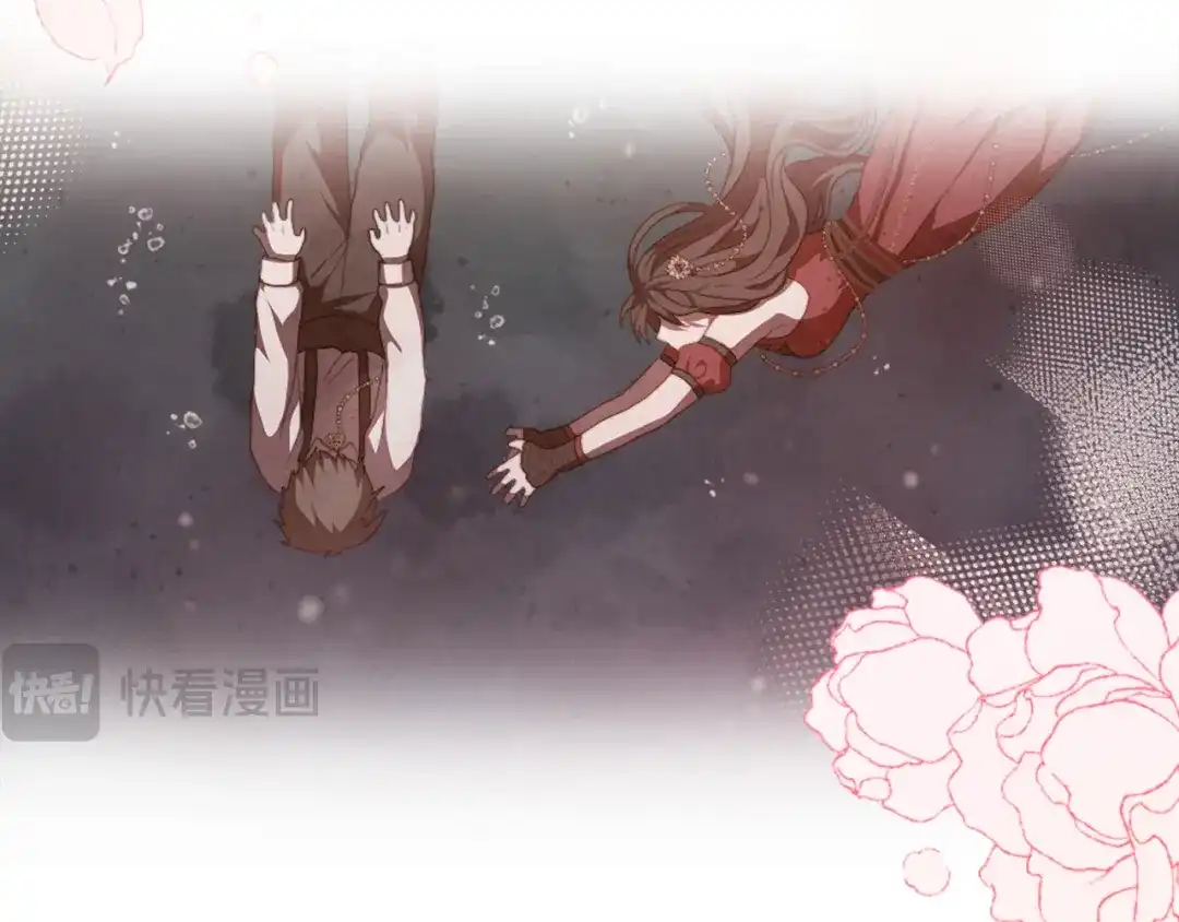 第204页