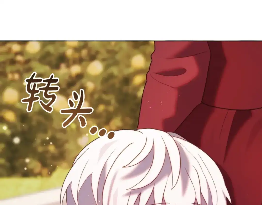 第185页
