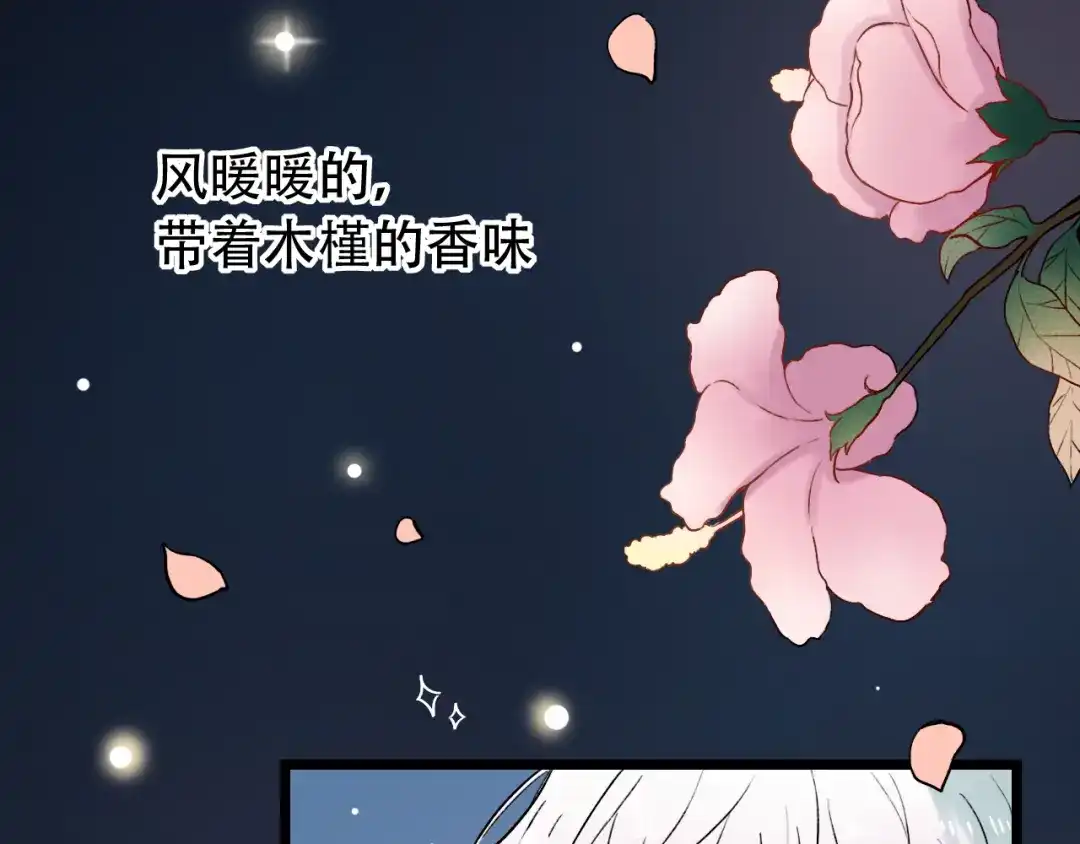 第223页