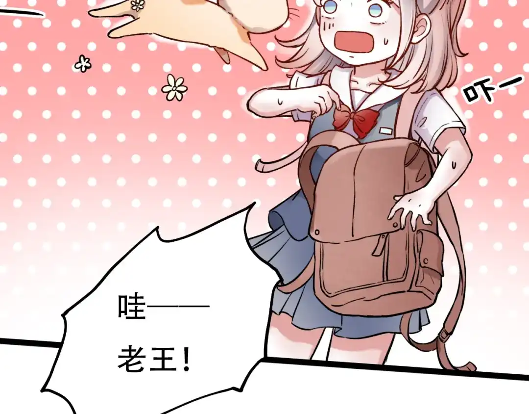 第202页