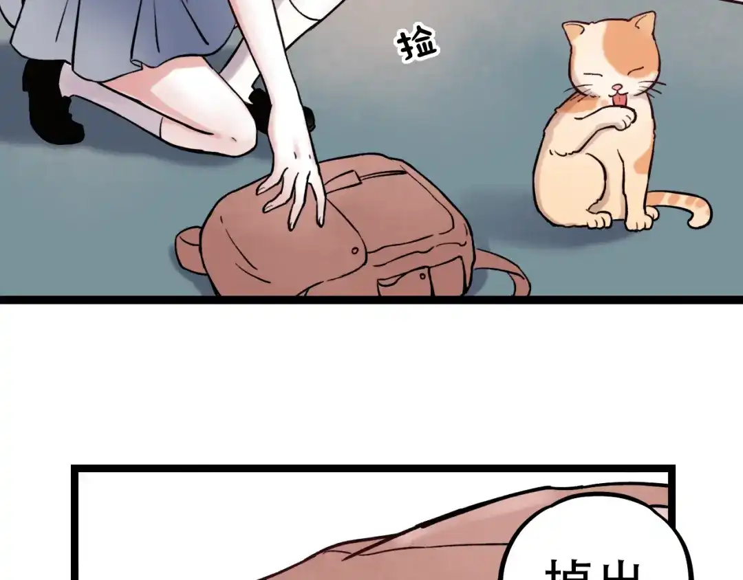 第207页