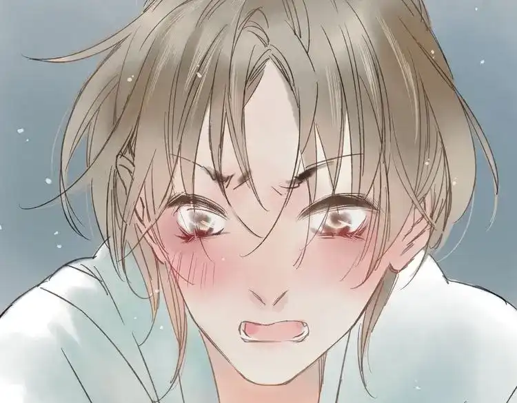 第210页