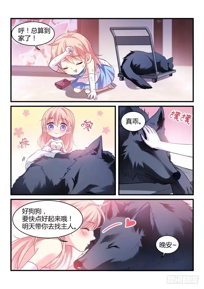 第5页
