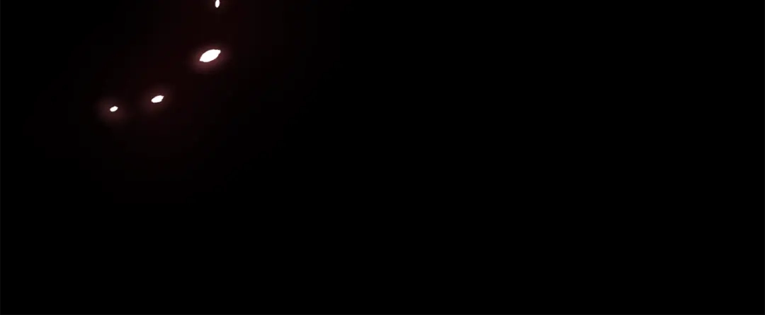 第213页