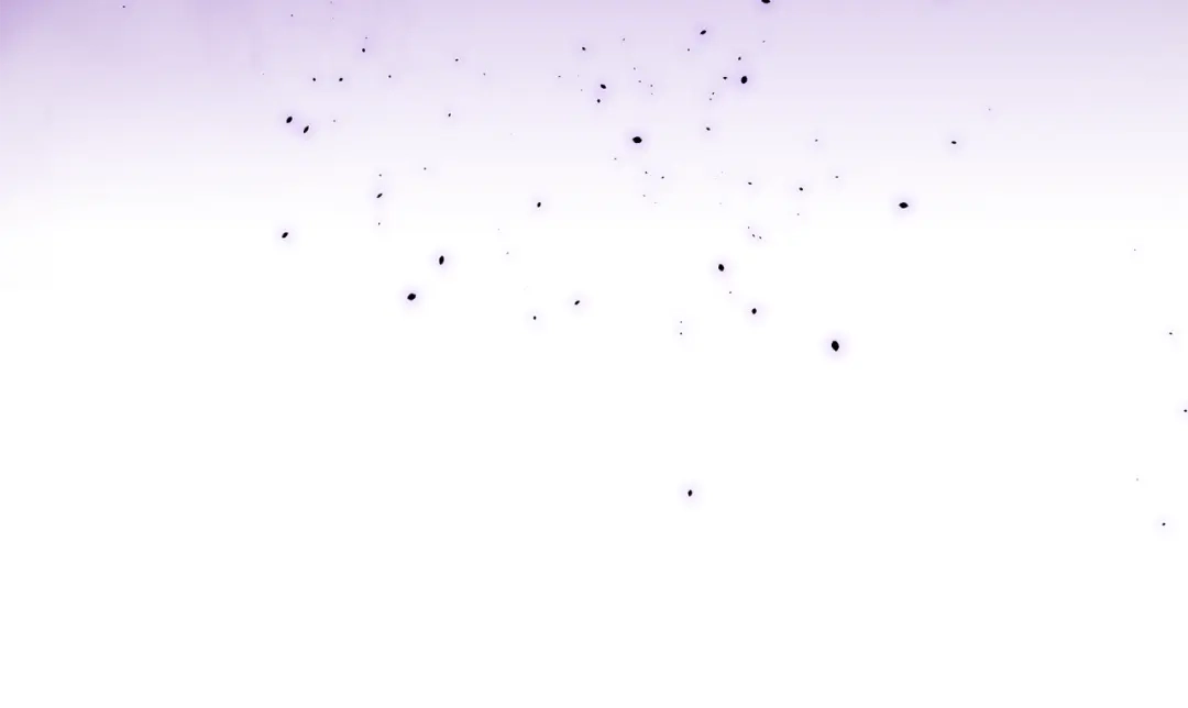 第186页