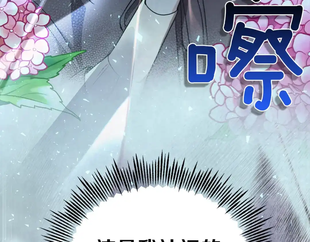 第213页