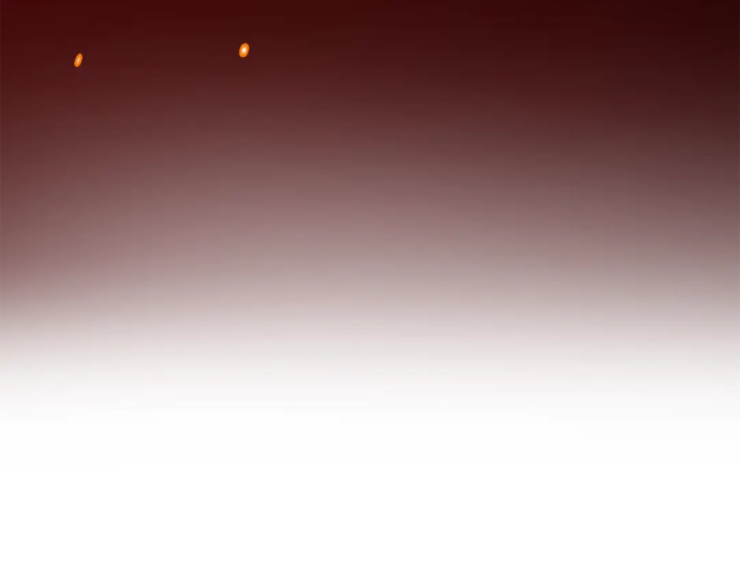 第230页