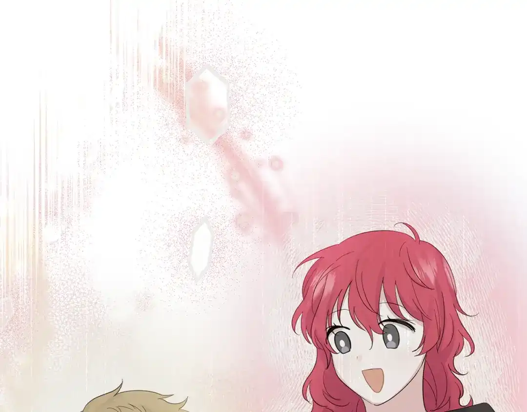 第217页