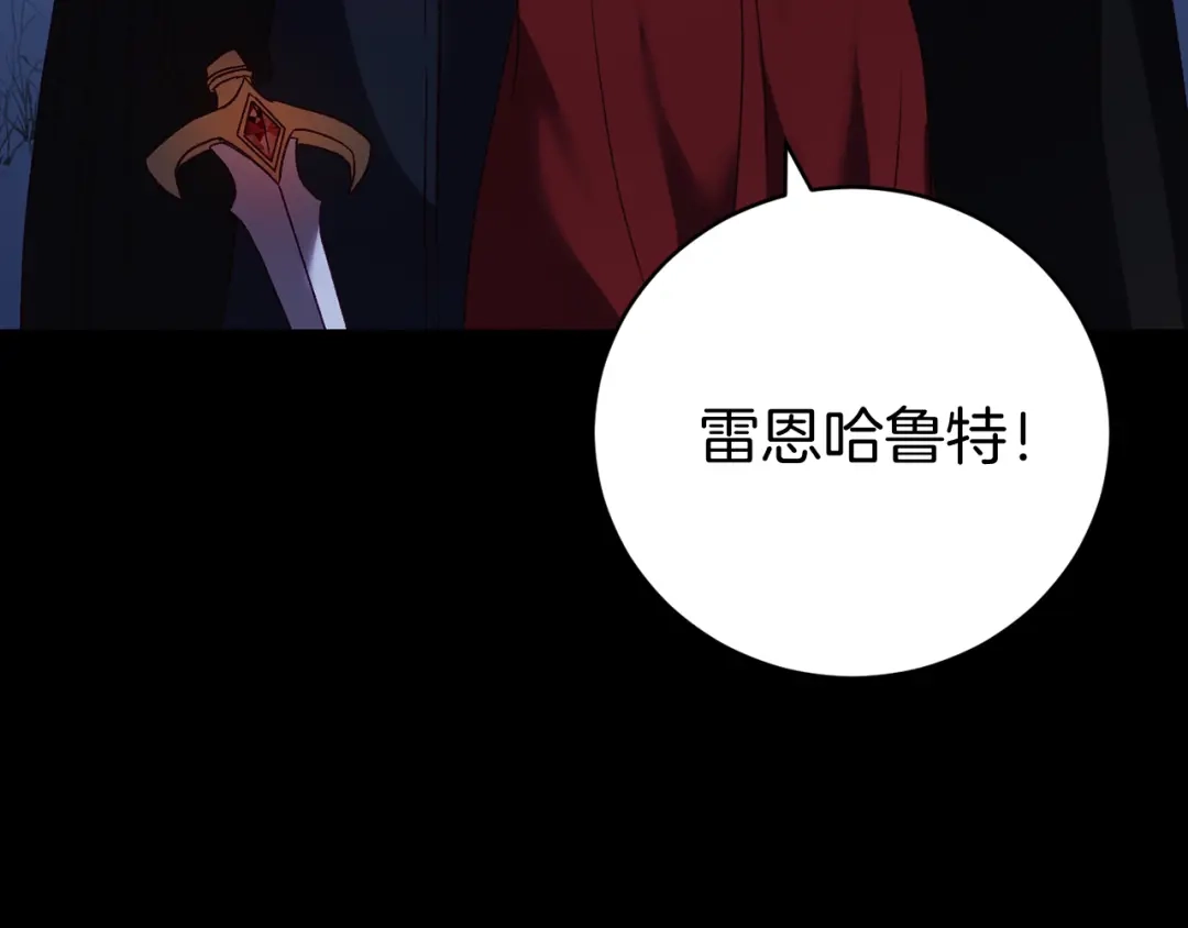第213页