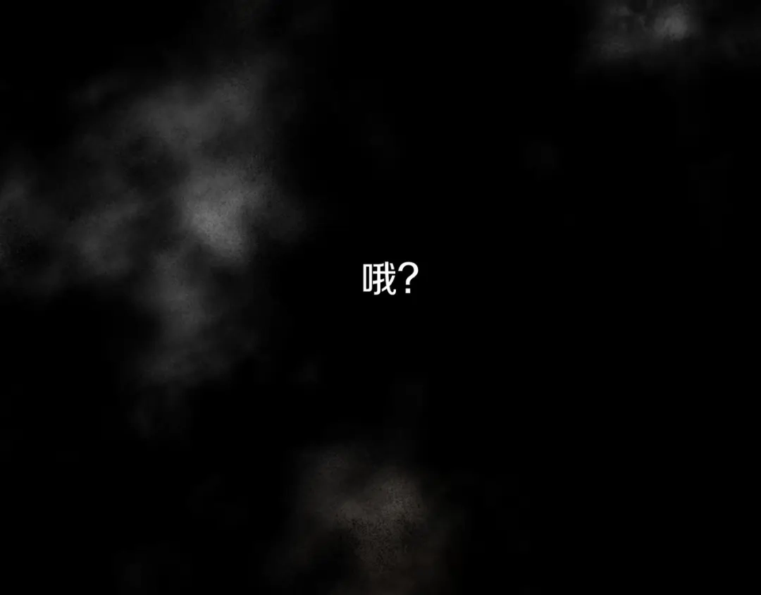 第194页