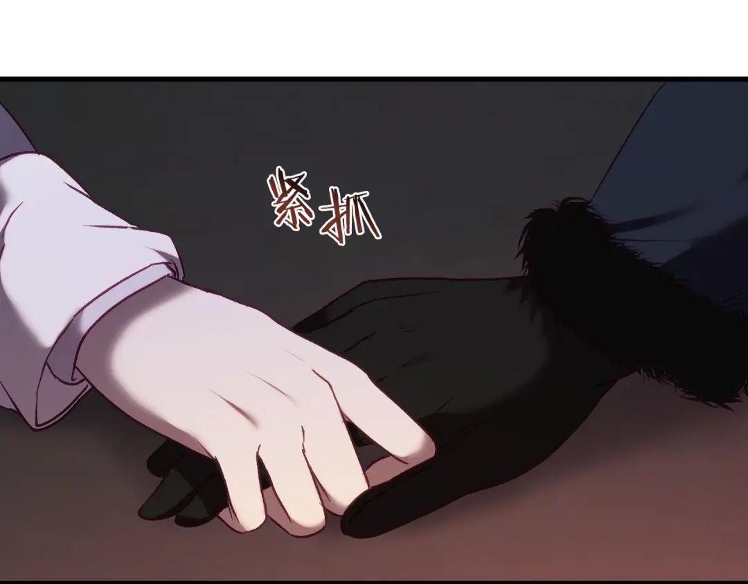第216页