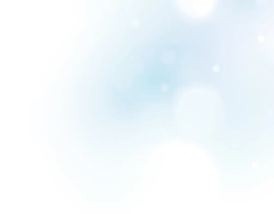 第204页