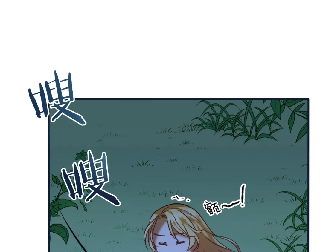 第205页