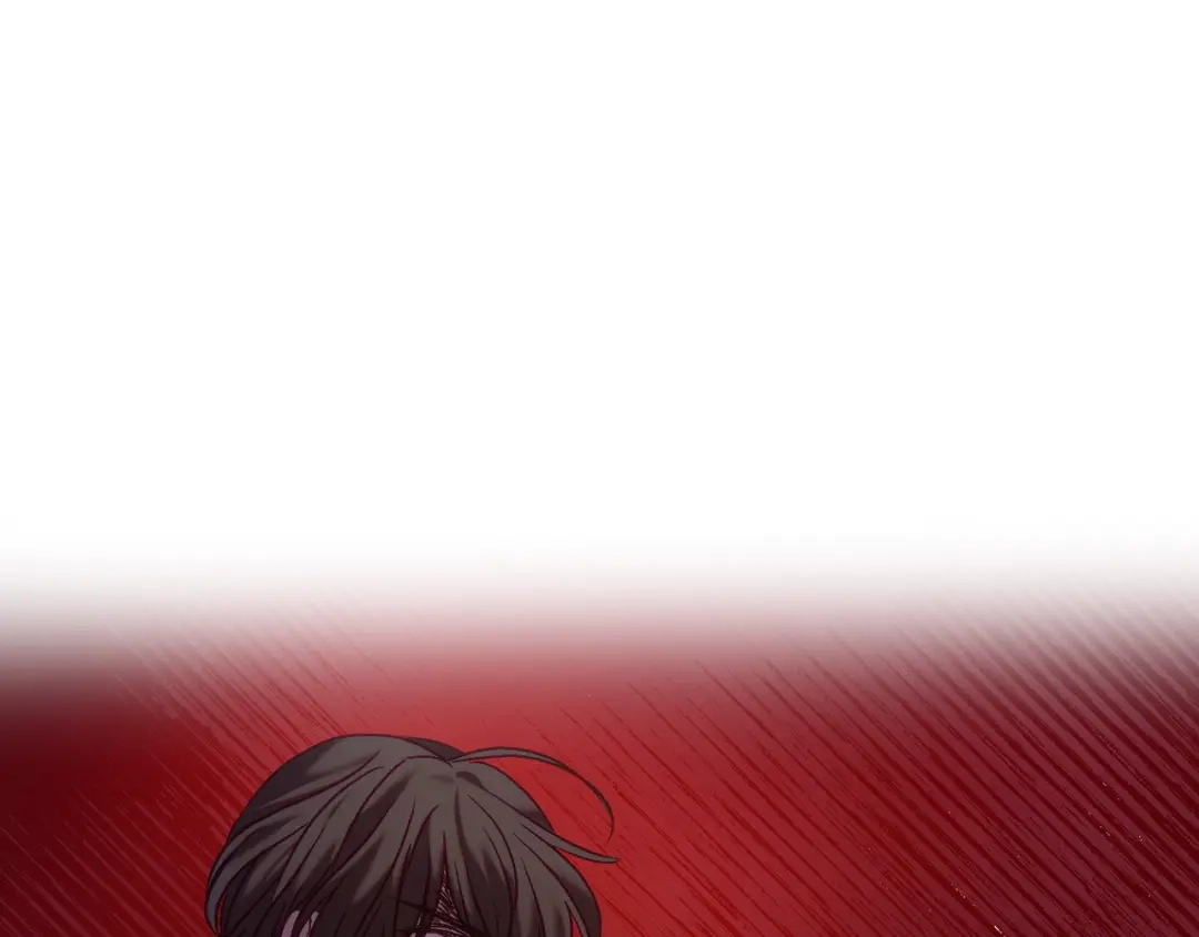 第221页