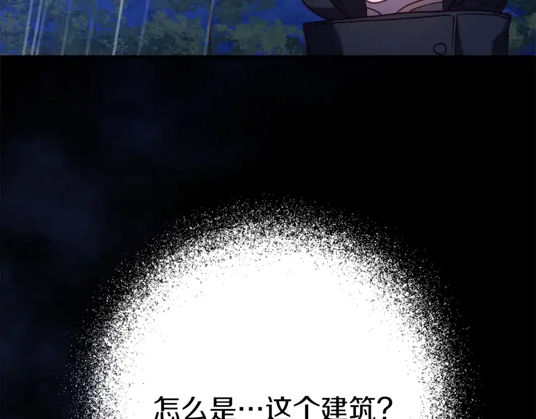 第213页