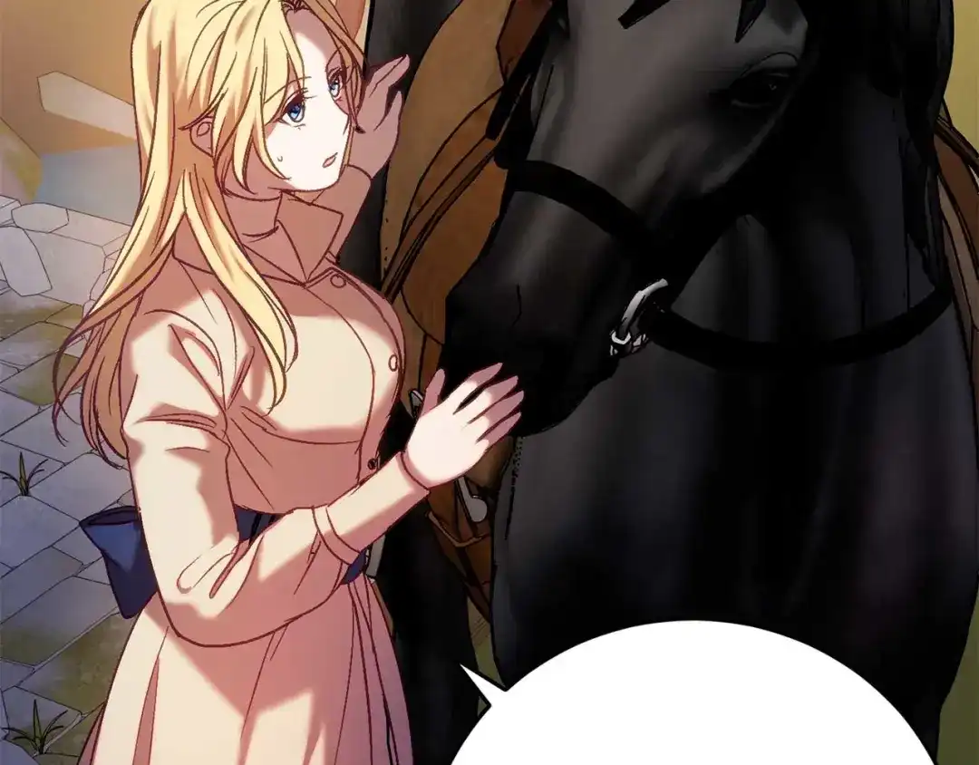 第206页