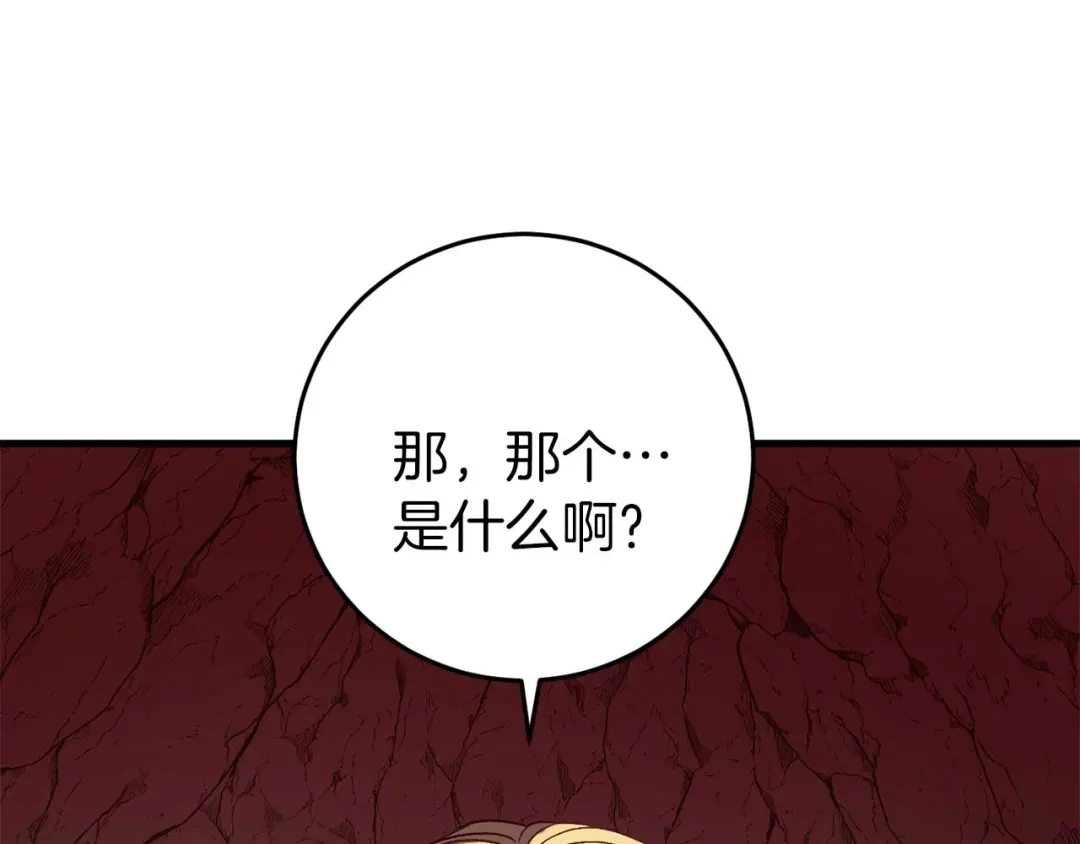 第215页