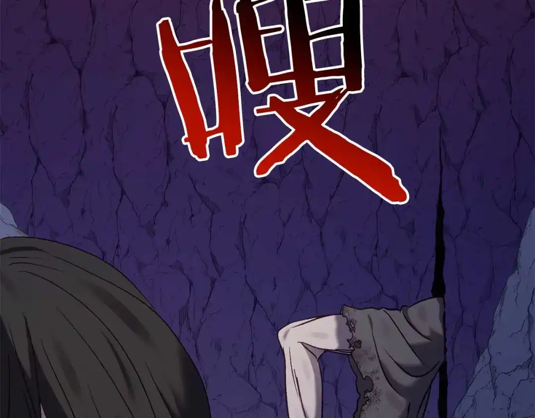第221页
