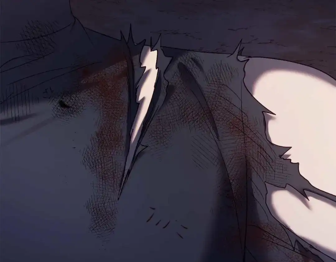 第223页