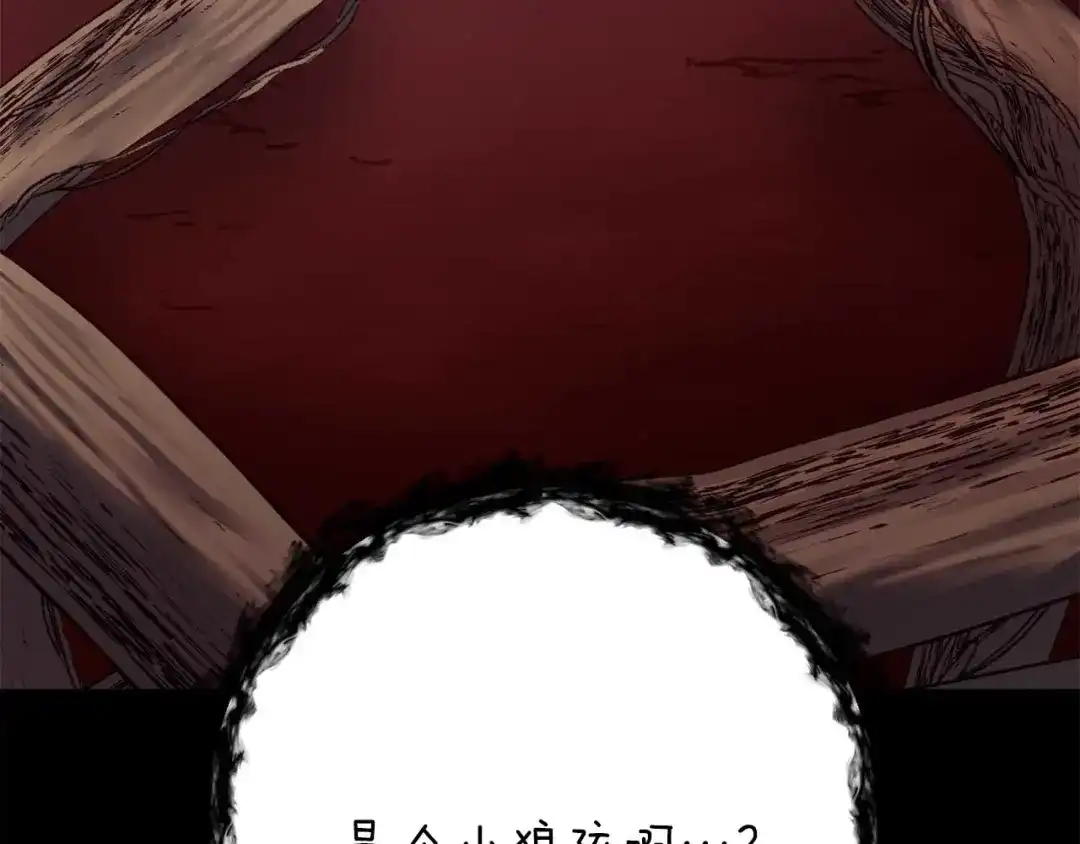 第233页