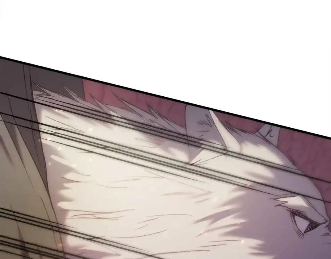 第214页