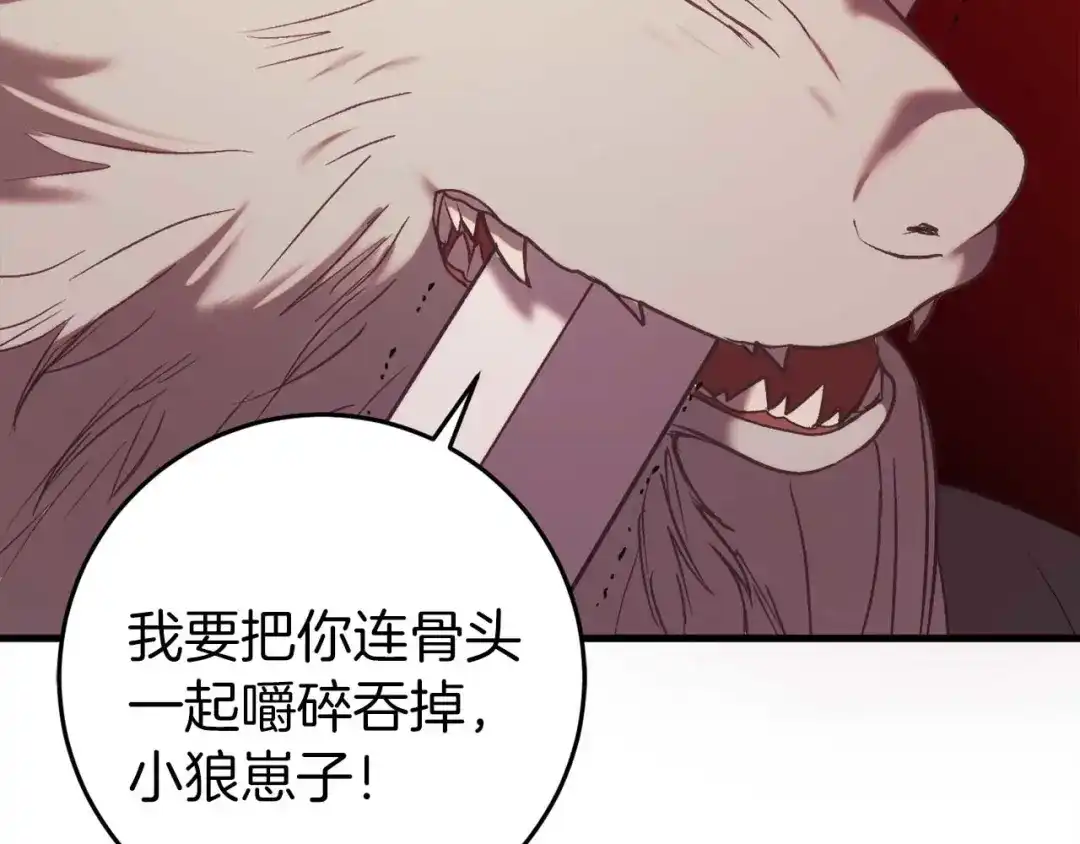 第224页