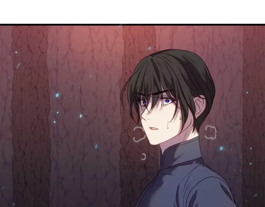 第243页
