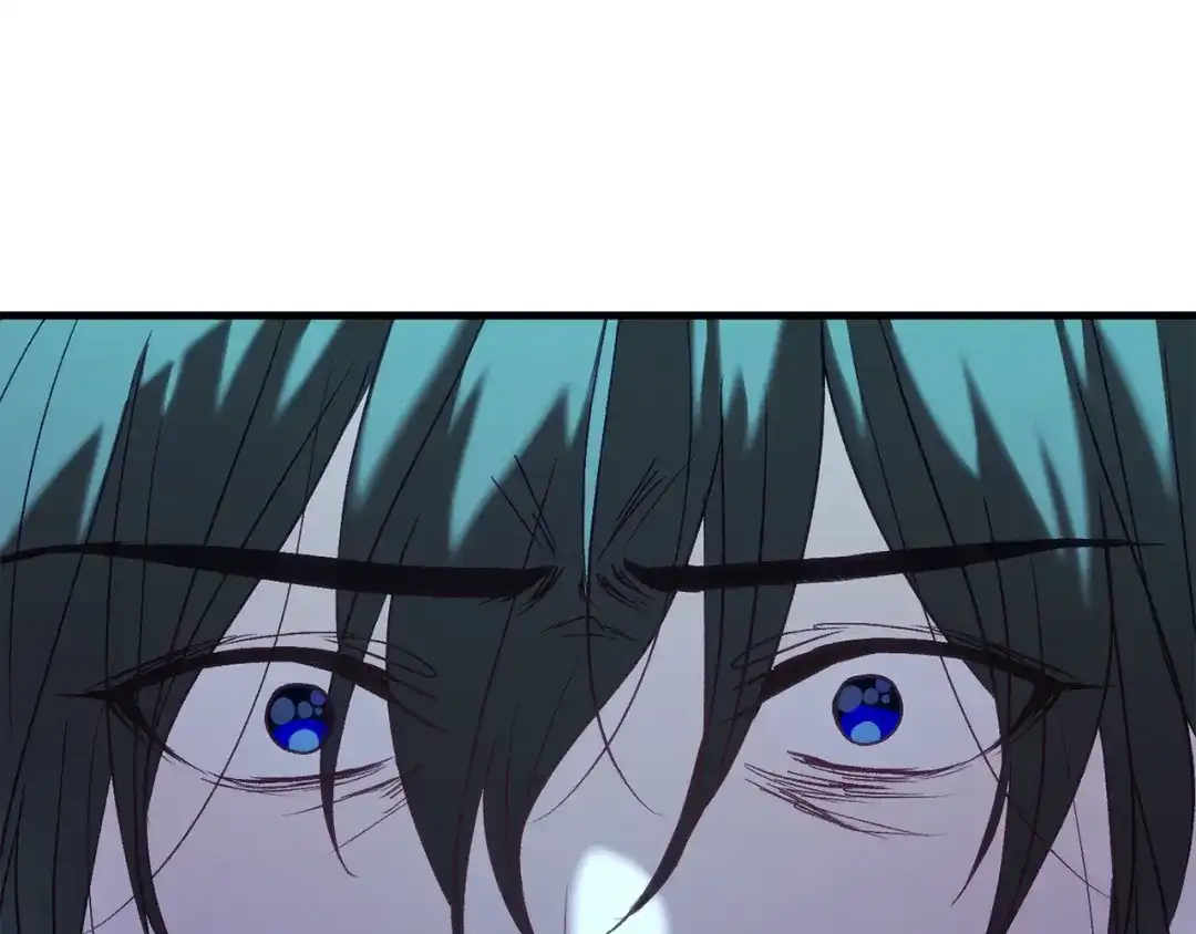第215页