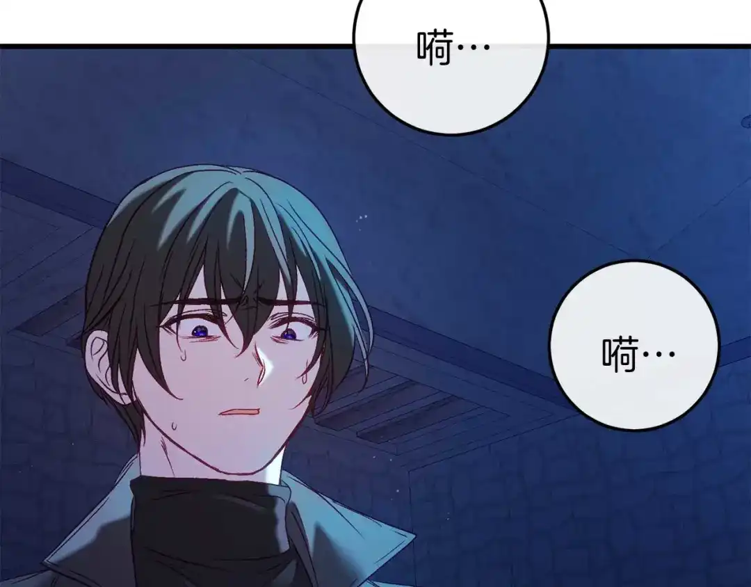 第237页