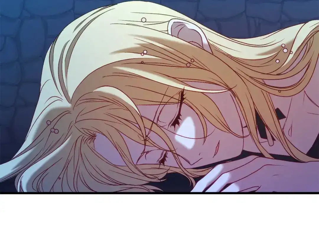 第242页