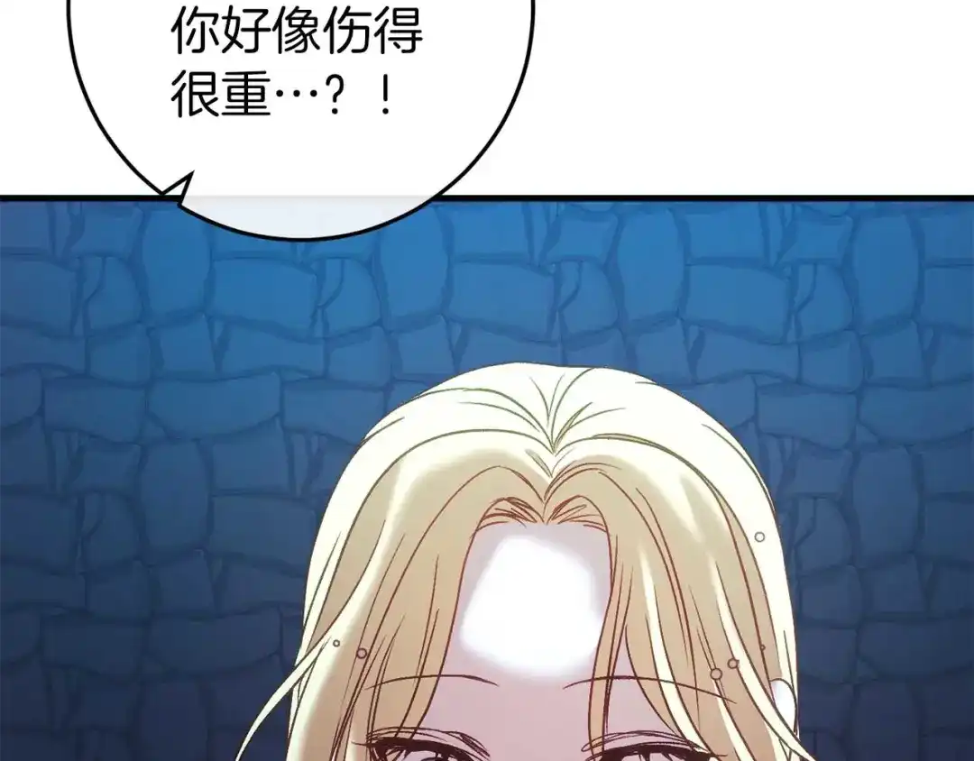 第251页