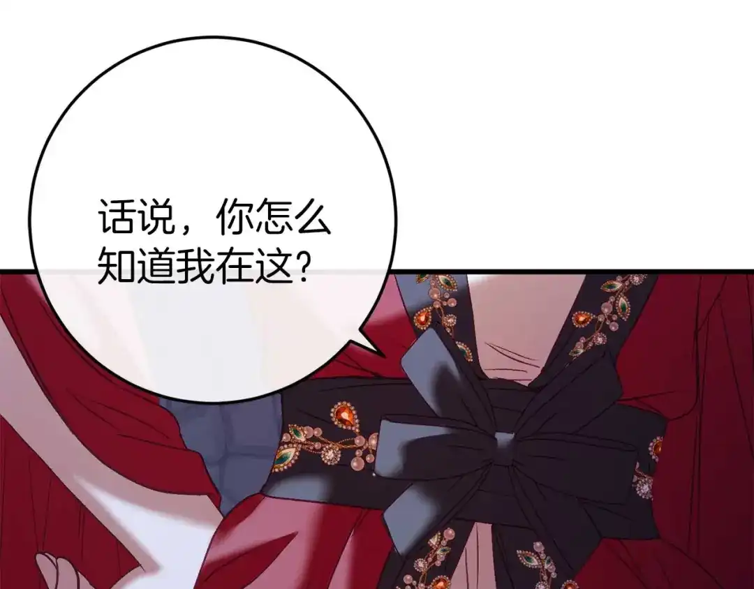 第255页