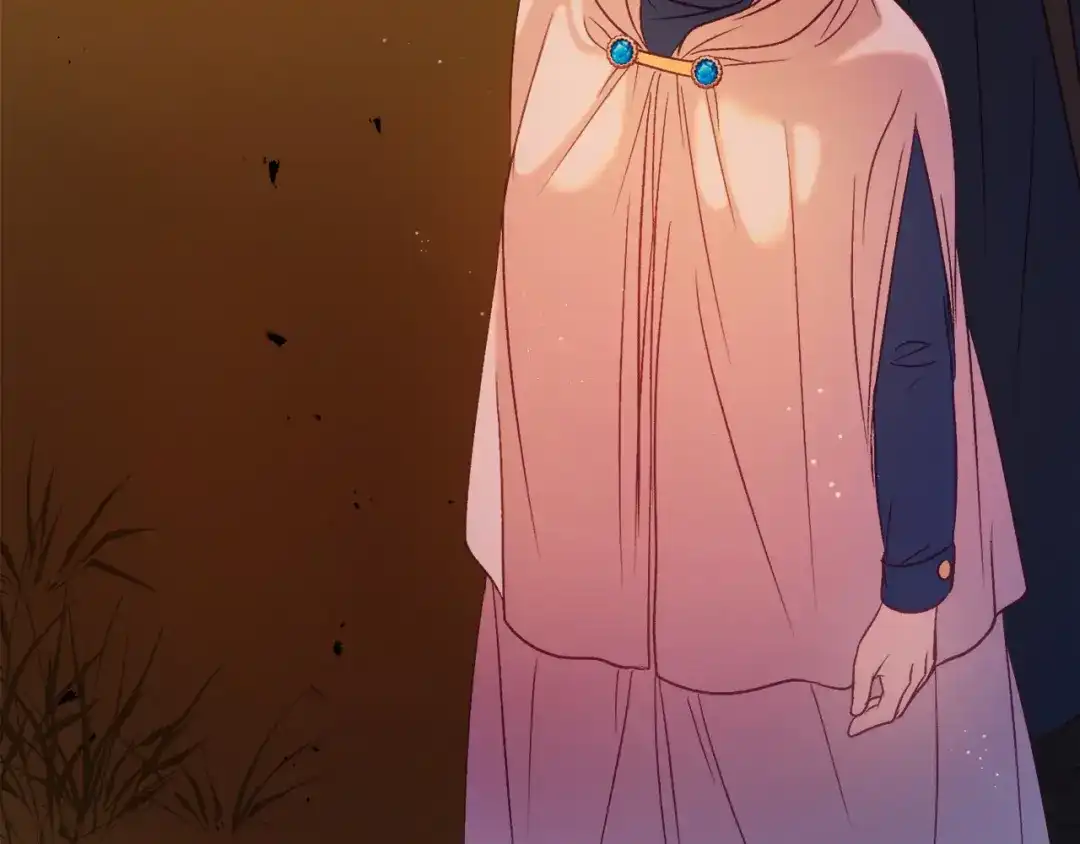 第215页