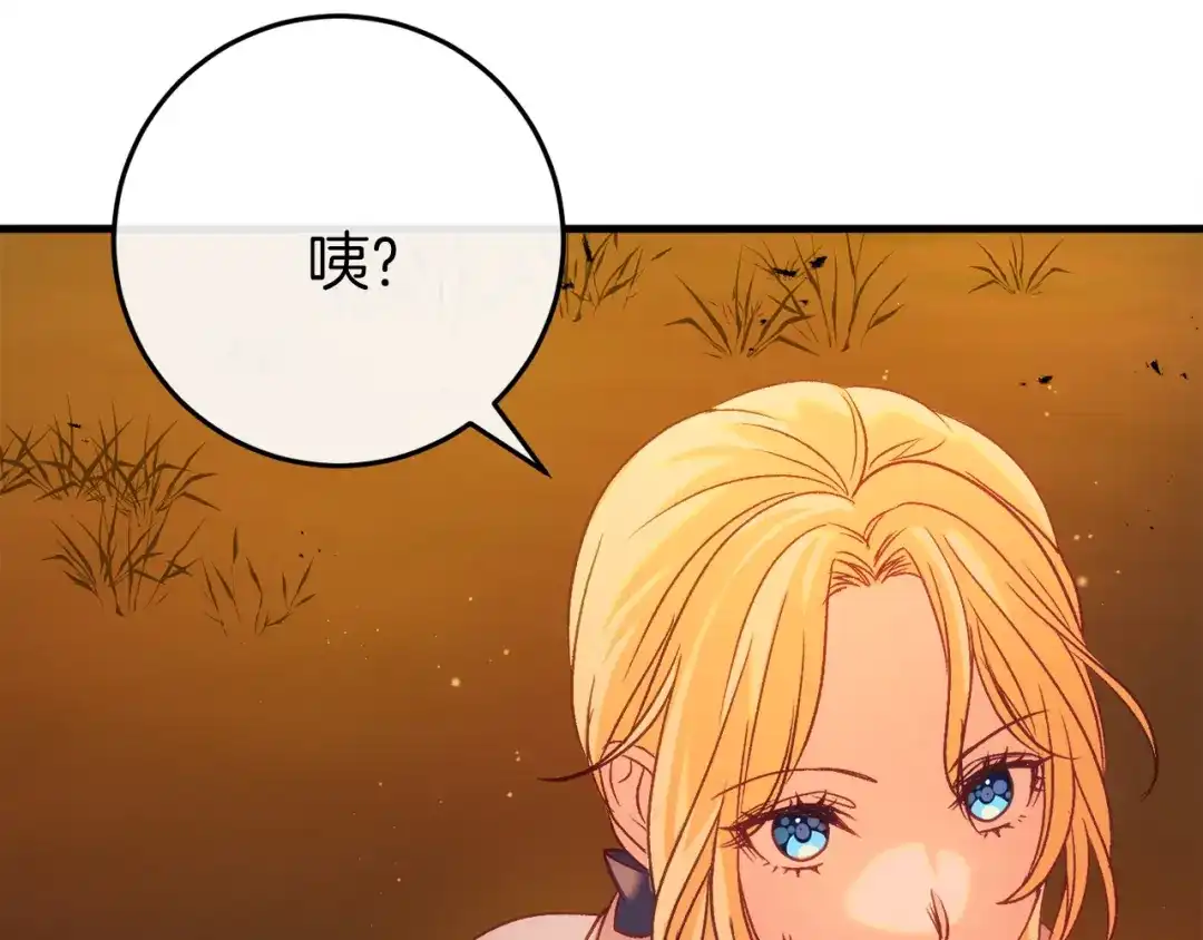 第219页