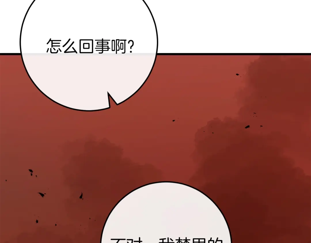 第223页