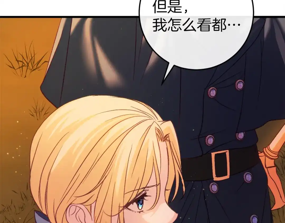 第228页